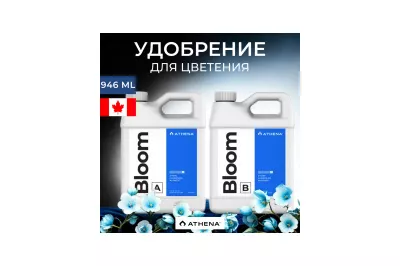 athena bloom a+b 946 мл
