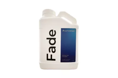 athena fade 3.8 л